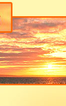 ApricotSunset - Elaine and Tims Website