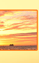 ApricotSunset - Elaine and Tims Website